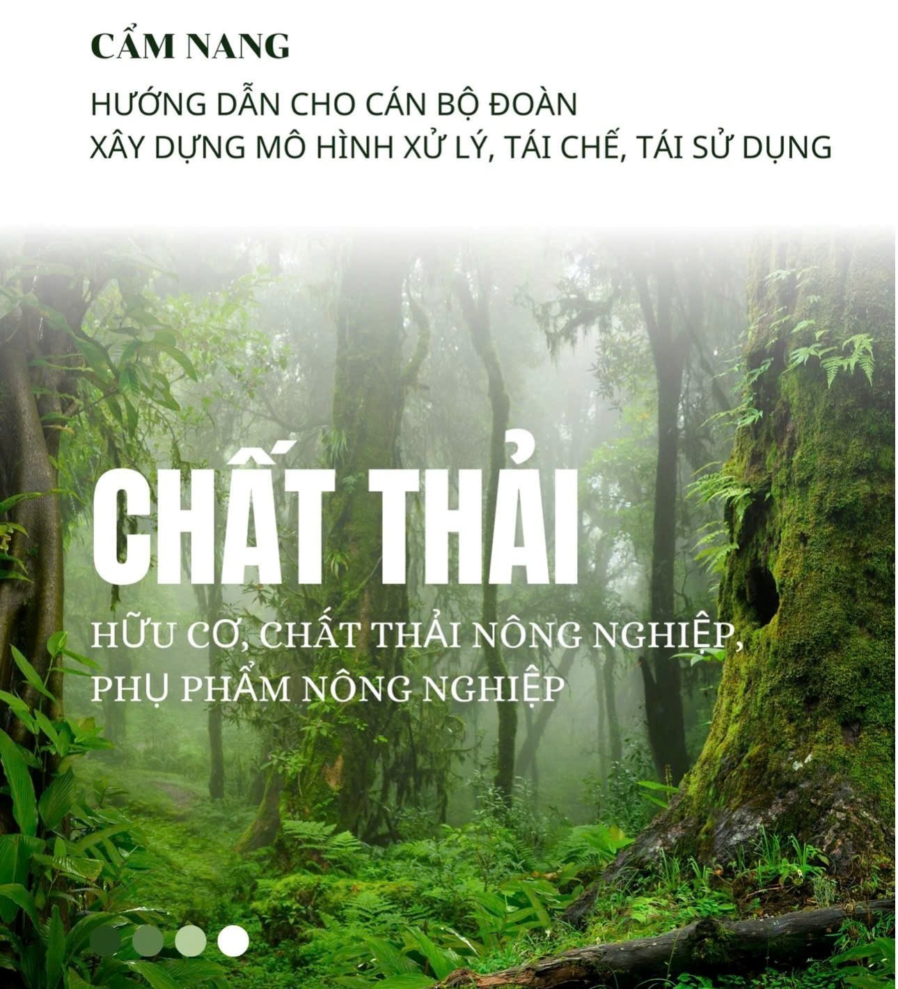 vai-tro-cua-thanh-nien-va-can-bo-doan-voi-xay-dung-tuong-lai-xanh-ben-vung-dulichgiaitrivn-1767110660.jpg