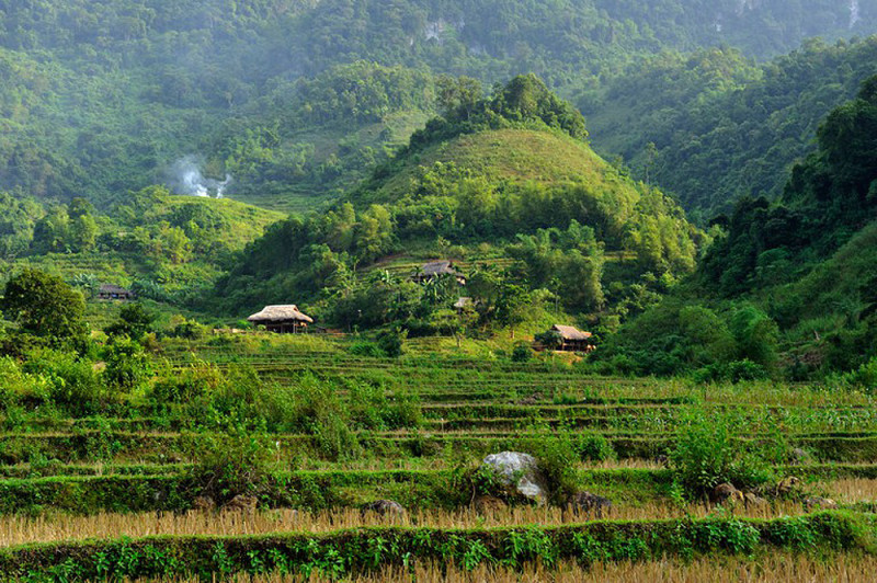 10 Vườn quốc gia ‘hấp dẫn’ nhất Việt Nam-dulichgiaitri.vn