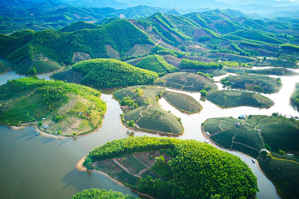 Đồi chè Thanh Chương, ‘ốc đảo xanh’ nơi miền Tây xứ Nghệ-dulichgiaitri.vn Đồi chè Thanh Chương, ‘ốc đảo xanh’ nơi miền Tây xứ Nghệ-dulichgiaitri.vn