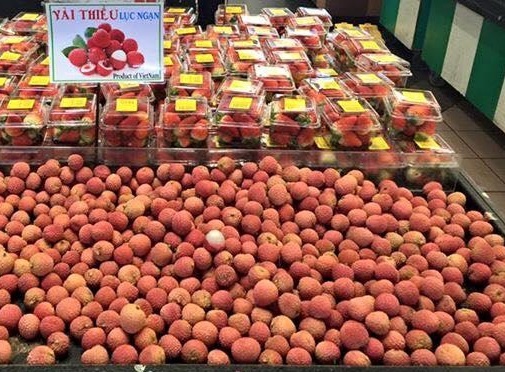 Bảo hộ nhãn hiệu ở nước ngoài không để doanh nghiệp ‘chông chênh’-dulichgiaitri.vn