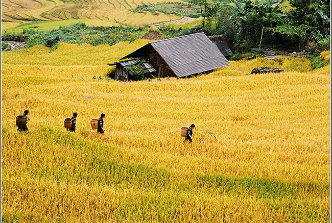 Si Ma Cai (Lào Cai) ‘điểm đến mới’ trong mùa hè này-dulichgiaitri.vn Si Ma Cai (Lào Cai) ‘điểm đến mới’ trong mùa hè này-dulichgiaitri.vn