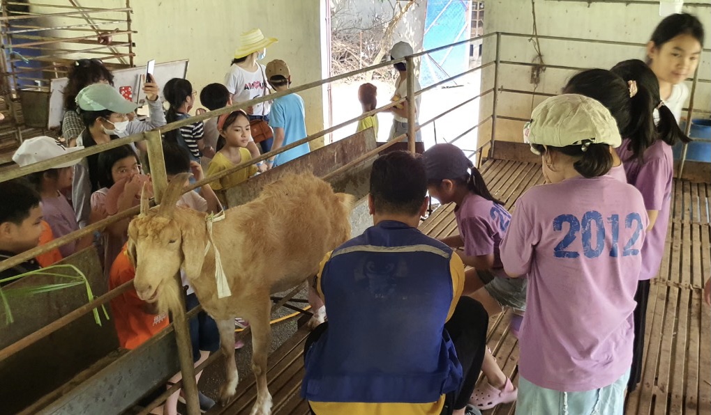 Xây dựng hệ thống 'du lịch nông thôn'-dulichgiaitri.vn