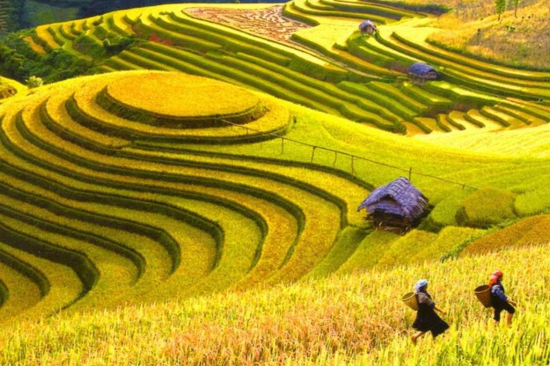 Hà Giang tổ chức ‘trực tuyến’ chương trình du lịch Hoàng Su Phì-dulichgiaitri.vn