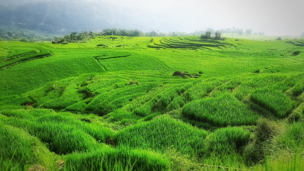 Ngỡ ngàng vẻ đẹp núi rừng ‘Pù Luông’-dulichgiaitri.vn