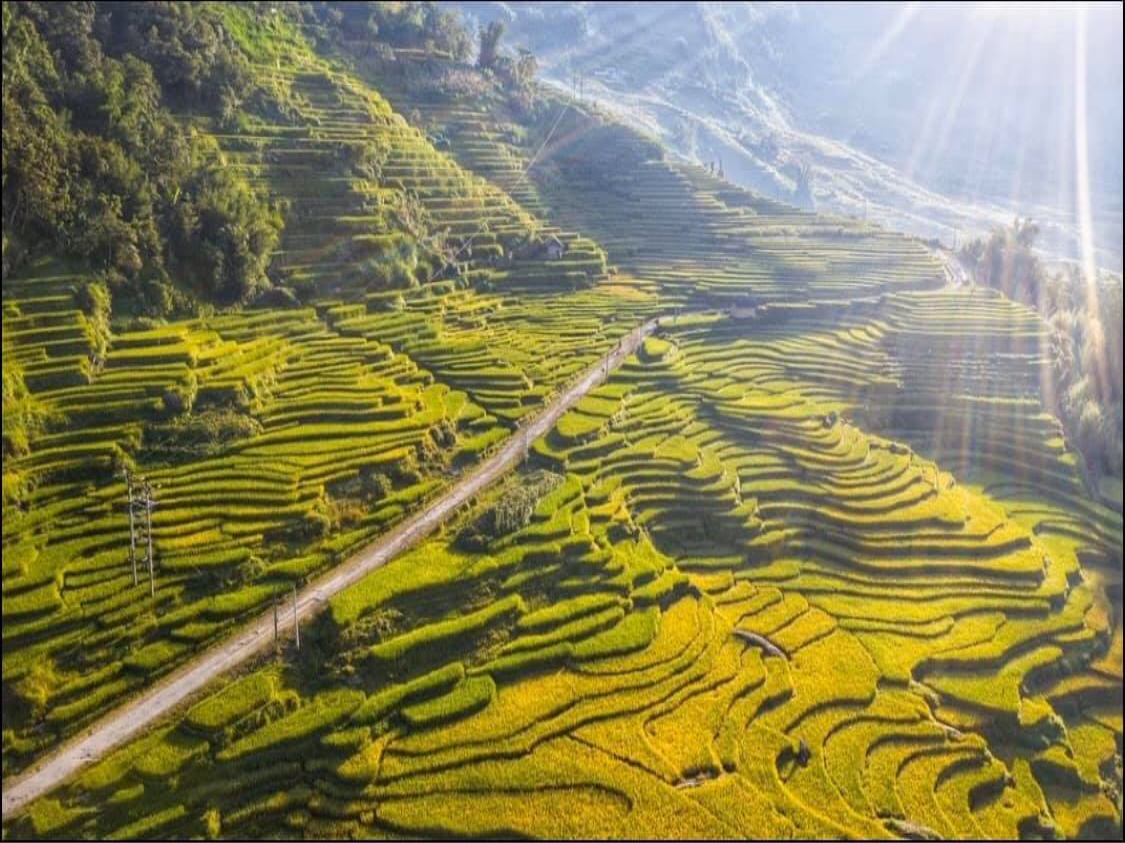 Lào Cai: Thung lũng ruộng bậc thang Thề Pả mùa lúa chín-dulichgiaitri.vn Lào Cai: Thung lũng ruộng bậc thang Thề Pả mùa lúa chín-dulichgiaitri.vn