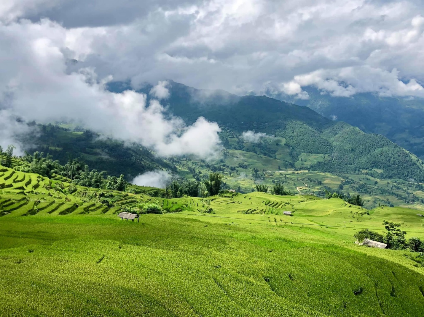 Lào Cai: Thung lũng ruộng bậc thang Thề Pả mùa lúa chín-dulichgiaitri.vn Lào Cai: Thung lũng ruộng bậc thang Thề Pả mùa lúa chín-dulichgiaitri.vn