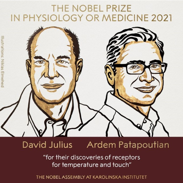 Hai nhà khoa học Mỹ nhận giải Nobel Y sinh 2021-dulichgiaitri.vn