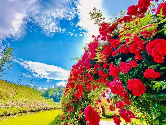 Những điểm du lịch nổi tiếng âm thầm ‘khoác áo mới’ chờ tái xuất-dulichgiaitri.vn Những điểm du lịch nổi tiếng âm thầm ‘khoác áo mới’ chờ tái xuất-dulichgiaitri.vn