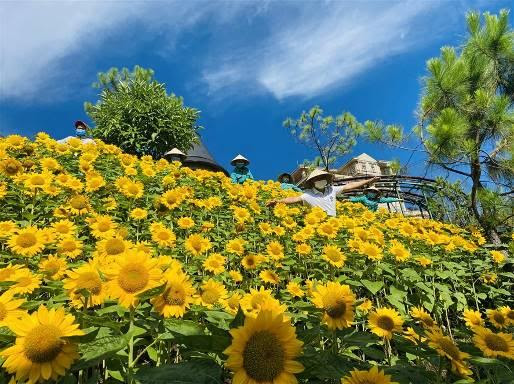 Những điểm du lịch nổi tiếng âm thầm ‘khoác áo mới’ chờ tái xuất-dulichgiaitri.vn Những điểm du lịch nổi tiếng âm thầm ‘khoác áo mới’ chờ tái xuất-dulichgiaitri.vn