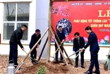 "Huyện Hoài Đức phấn đấu trồng 15.000 cây trong dịp xuân Quý Mão 2023"