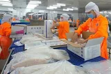 Cổ phiếu ANV của Thủy sản Nam Việt bật tăng sau tin vui từ cổ tức