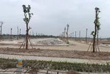 Khu đô thị "TEELhomes Tràng An" - Dự án trọng điểm nằm ngay huyết mạch nối cao tốc Cầu Giẽ - Ninh Bình với cao tốc Hà Nội - Hải Phòng