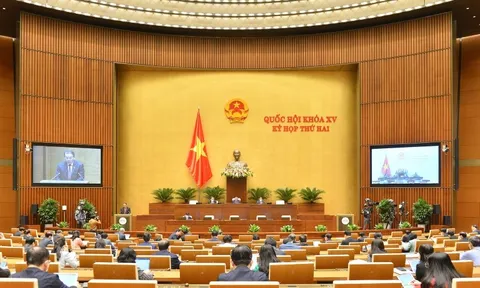 Dự kiến sửa đổi và bổ sung 32 điều, quy định mới 18 điều trong Luật Điện ảnh