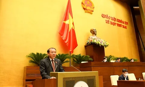 Nhiều quy định của Luật Điện ảnh không còn phù hợp, không thể hiện được đặc thù của điện ảnh