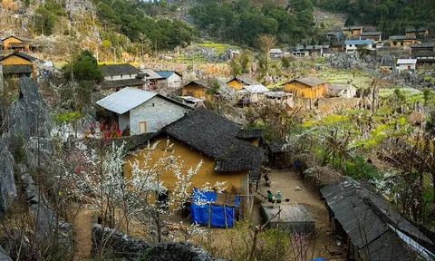 Tour khép kín đưa khách du lịch nội địa đến với Hà Giang