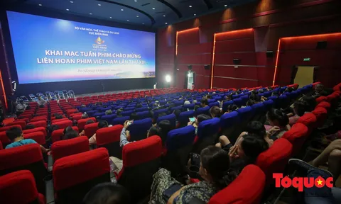 Tổ chức Tuần phim chào mừng Liên hoan Phim Việt Nam lần thứ XXII