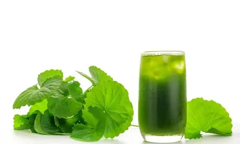 Các loại nước uống tốt cho người bị viêm đường tiết niệu