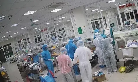 11 bệnh nhân nặng và "siêu nặng" được cứu sống thần kỳ tại BV Bệnh Nhiệt đới Trung ương