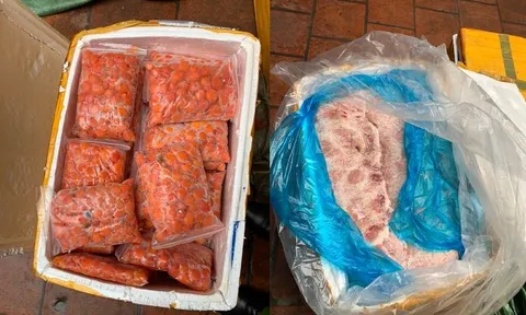 Hà Nội: Phát hiện 5 tấn thực phẩm không rõ nguồn gốc xuất xứ