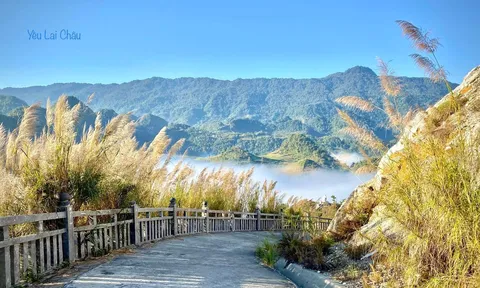 Lao Tỷ Phùng (Lai Châu) - Điểm săn mây kỳ thú