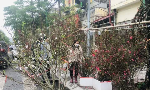 Người Hà Nội thích thú chơi đào nở muộn sau Tết