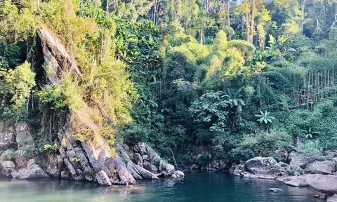 Khu bảo tồn thiên nhiên Mường Nhé - Điện Biên