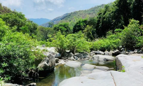 Suối Lồ Cô (Ninh Thuận) - nơi dã ngoại lý tưởng giữa rừng xanh