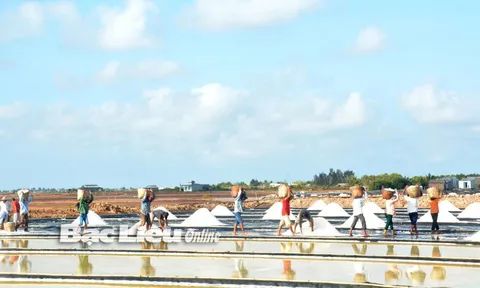 Bạc Liêu: Làm du lịch từ muối