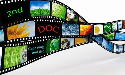 Sửa đổi quy định về quản lý xuất khẩu, nhập khẩu văn hóa phẩm không nhằm mục đích kinh doanh