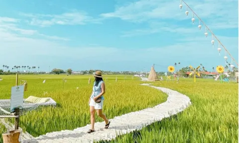 Quán cà phê ngắm đồng lúa ở Hội An