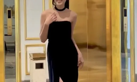 Đỗ Thị Hà, Lương Thùy Linh bị chỉ trích vì "cosplay" câu nói của Trương Hồ Phương Nga
