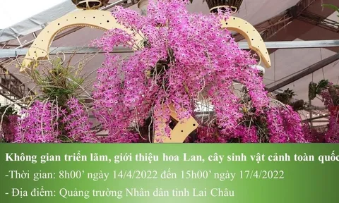 Tuần Du lịch - Văn hóa Lai Châu năm 2022: “Về với những đỉnh núi Lai Châu kỳ vĩ”