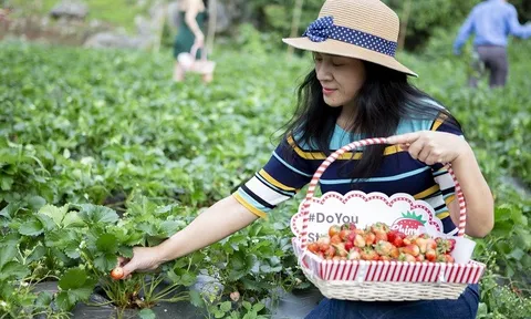 Chimi Farm - Nông trại vui vẻ