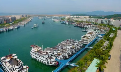 Cảng tàu khách quốc tế Tuần Châu (Quảng Ninh): Nâng cao chất lượng dịch vụ