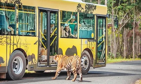Lạc vào thiên nhiên hoang dã giữa đảo ngọc tại Vinpearl Safari Phú Quốc