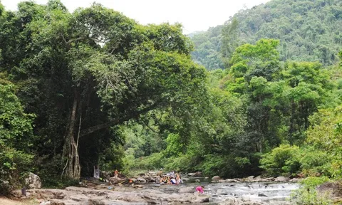 Sơn Động (Bắc Giang): Thu hút đông đảo khách du lịch trong những tháng đầu năm