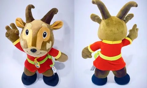Ban tổ chức kêu gọi cùng chung tay bảo vệ thương hiệu SEA Games 31