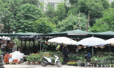 Đường Nghiêm Xuân Yêm: Ngang nhiên lấn chiếm vỉa hè để bán hàng