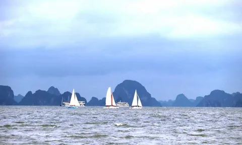 Lần đầu tiên tổ chức diễu hành thuyền buồm thể thao trên Vịnh Hạ Long (Quảng Ninh)