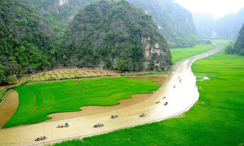 Cánh đồng lúa nghệ thuật - điểm nhấn trong Tuần Du lịch Ninh Bình năm 2022 với chủ đề "Sắc vàng Tam Cốc - Tràng An"