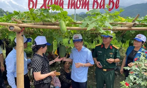 Bí xanh thơm và các nông sản Bắc Kạn lên sàn thương mại điện tử