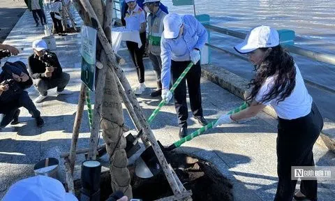 Bình Thuận: Phát động trồng cây xanh và chung tay làm sạch bờ biển