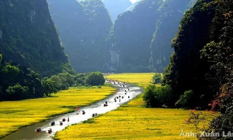 Tam Cốc – Mùa vàng vẫy gọi