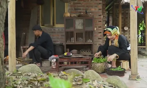 Phát triển du lịch homestay Thái Nguyên