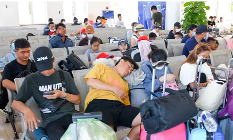 Du khách đi Lý Sơn vạ vật vì độc quyền tàu cao tốc