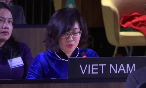 Việt Nam trúng cử thành viên Ủy ban liên Chính phủ Công ước UNESCO