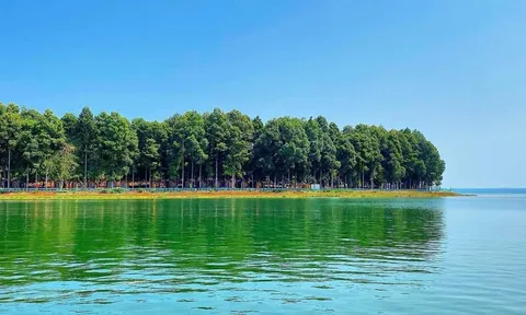 Du lịch vào hè check in “ốc đảo” hoang sơ tại Đồng Nai