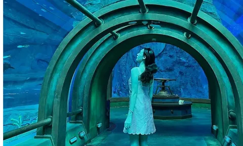 4 điểm vui chơi trong nhà ở Phú Quốc cho ngày mưa