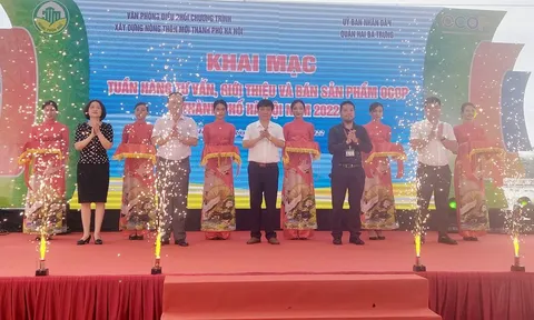 Khai mạc Tuần hàng tư vấn, giới thiệu sản phẩm tại Công viên Thống nhất