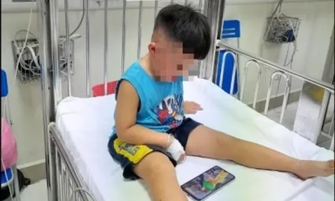 Bắt giữ đối tượng bạo hành, nhốt trẻ 3 tuổi vào tủ cấp đông